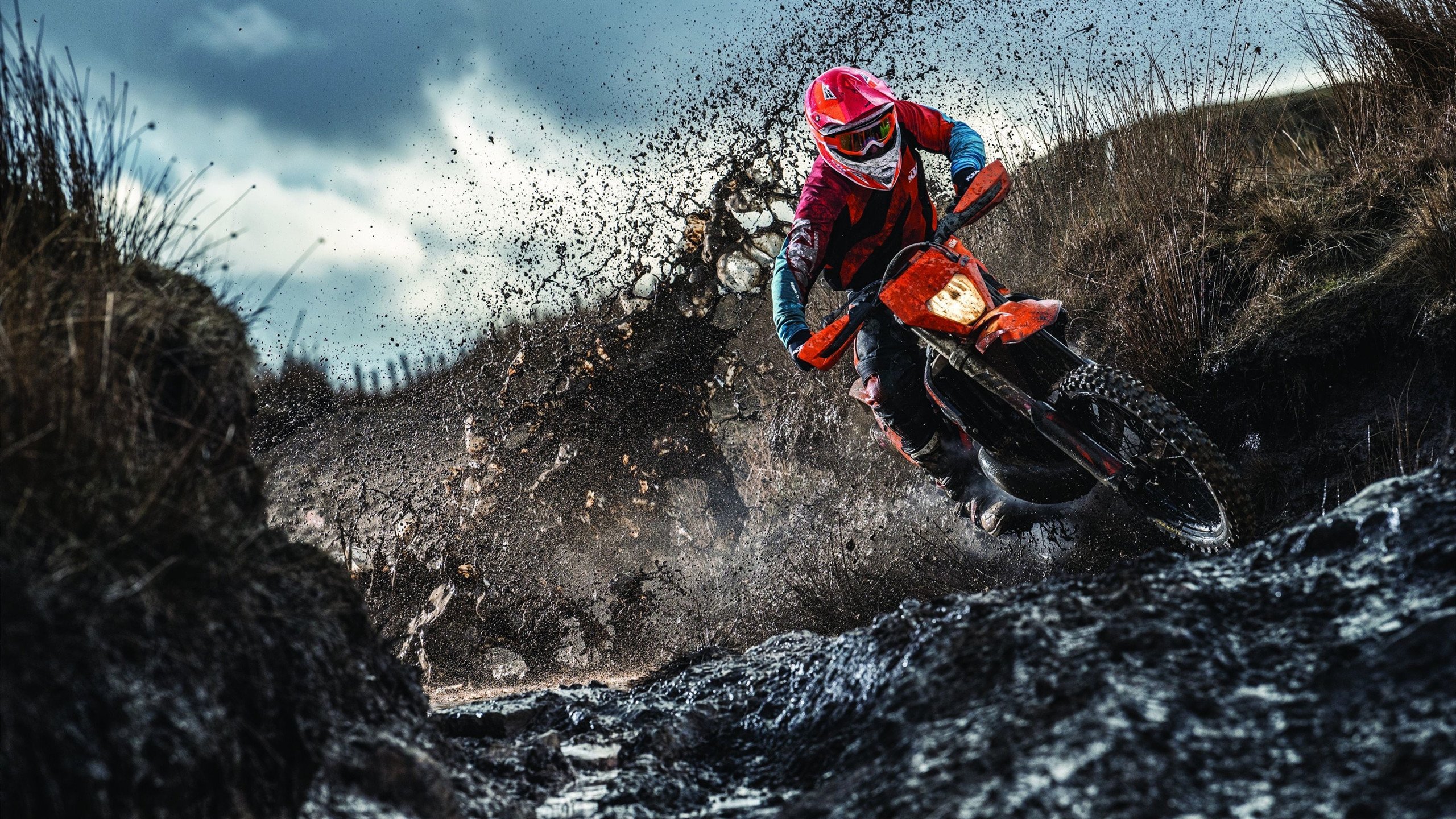 自媒体分享淡厚然NCAA片段：背转身晃开对手挂筐暴扣，新鲜猪嘴的做法大全