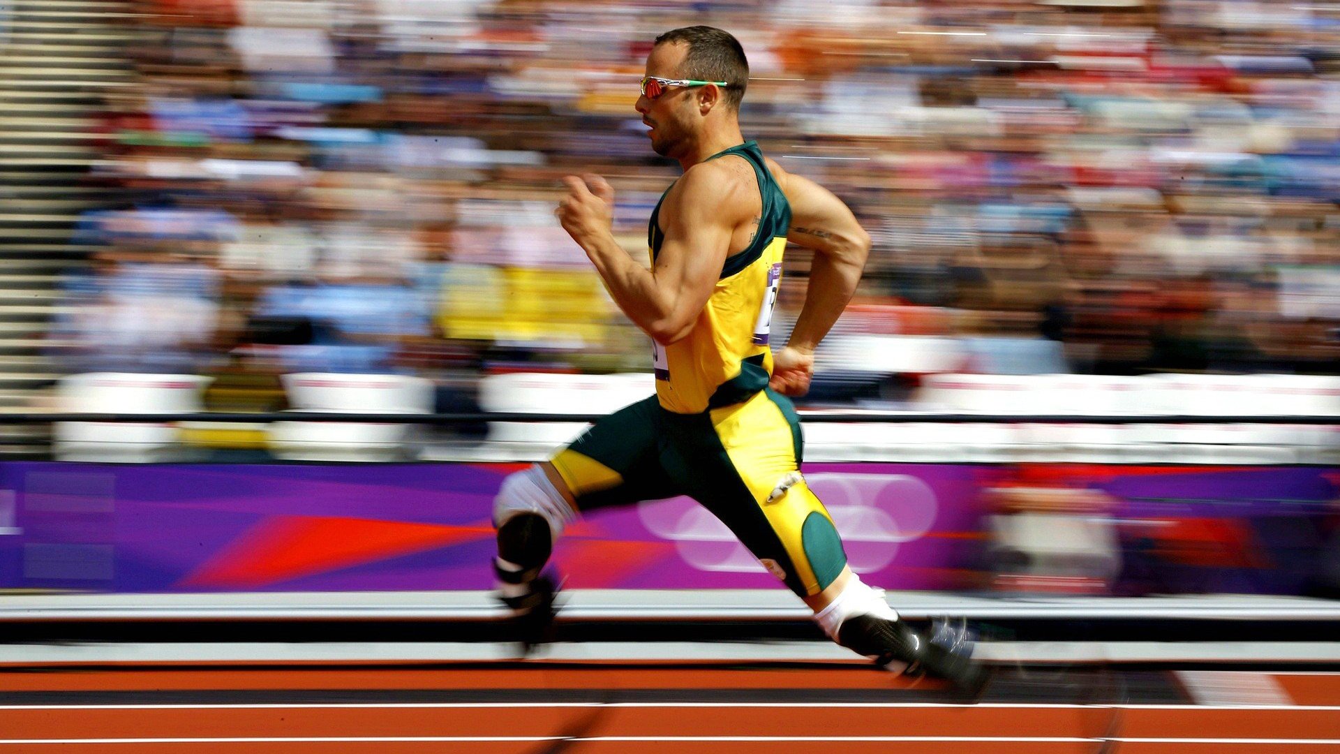 对手无奈认输，樊振东主动让座获赞无数，樊振东专访